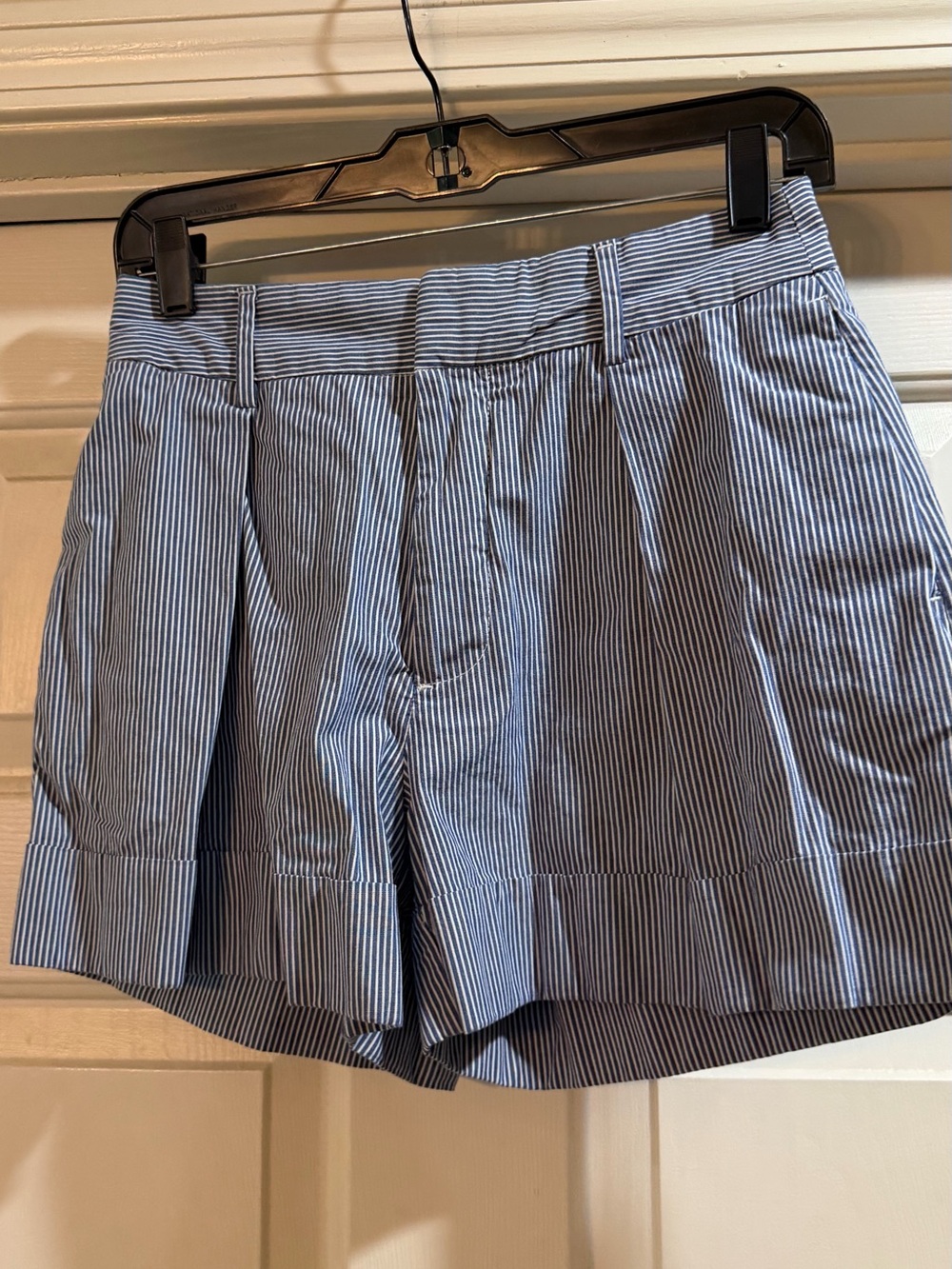 Banana Republic Blue Pinstripe Women’s Shorts